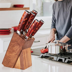 6 - Piece Professional Chef Knife Set with Knife Holder - Letcase