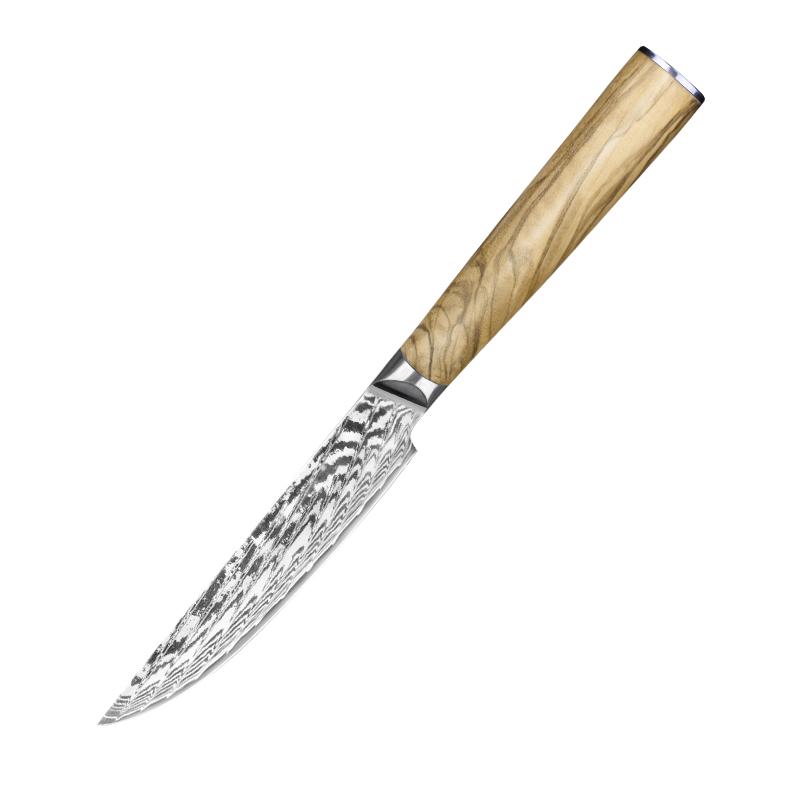 TBG9 Set Of 4, 67 Layer Japanese Damascus Stainless Steel Steak Knives –  The Bamboo Guy