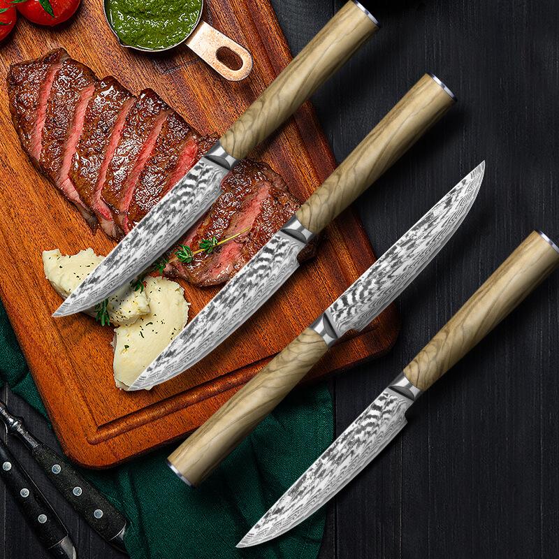 Steak knives Set of 4, Super-Sharp 5 Inch Damascus Steak Knife Set,  Japanese VG10 Core Steel 73 Layers - Non-Serrated Steak Knives with Case