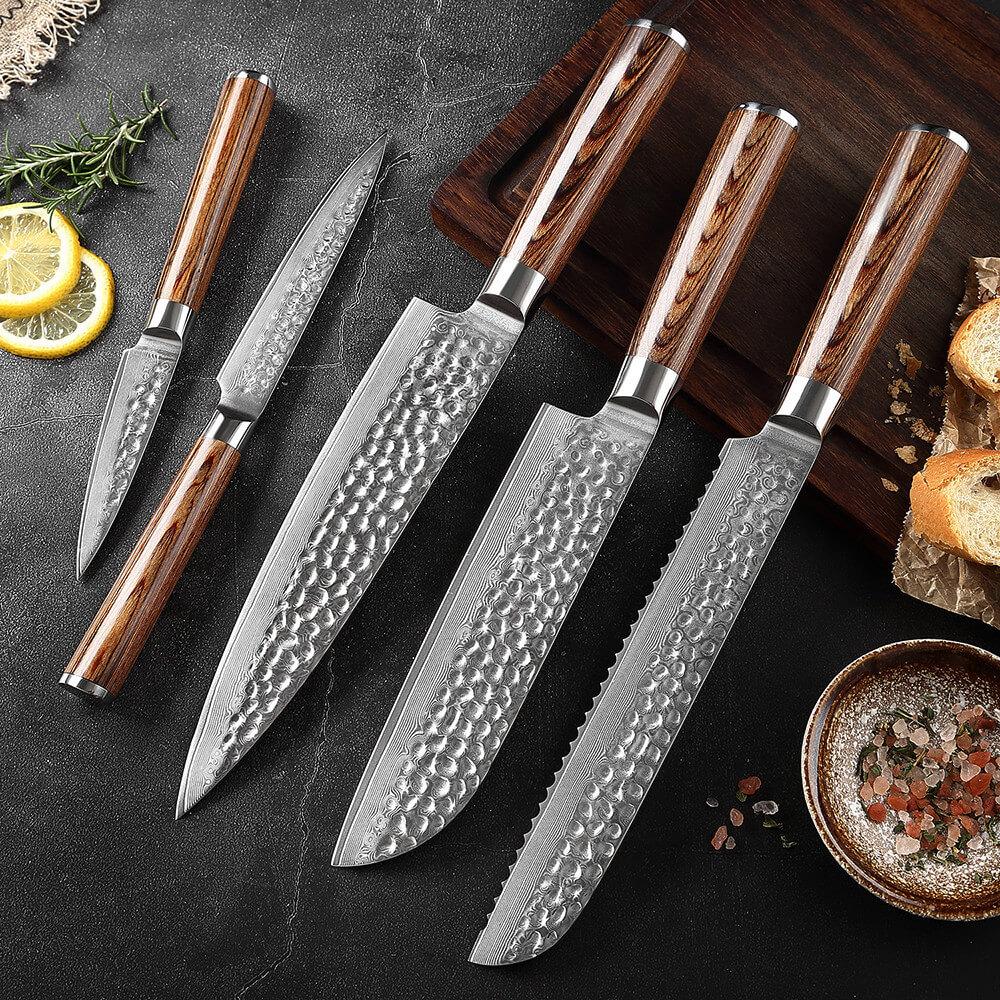 5 Pcs/set Professional Chef Knife Best Kitchen Knives Set Steel Knife with  Wood Handle Stainless Steel Kitchen Knife Set Damascus Stainless Steel Knives  Paring Utility Santoku Slicing Chef Cooking Knife Kitchen Slicing