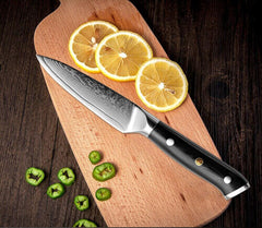 Kitchen Paring Knife, 3.5" VG10 Damascus Steel - Letcase