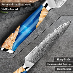 Steak Knives Set of 4, Damascus 5-inch Serrated Steak Knife - Letcase